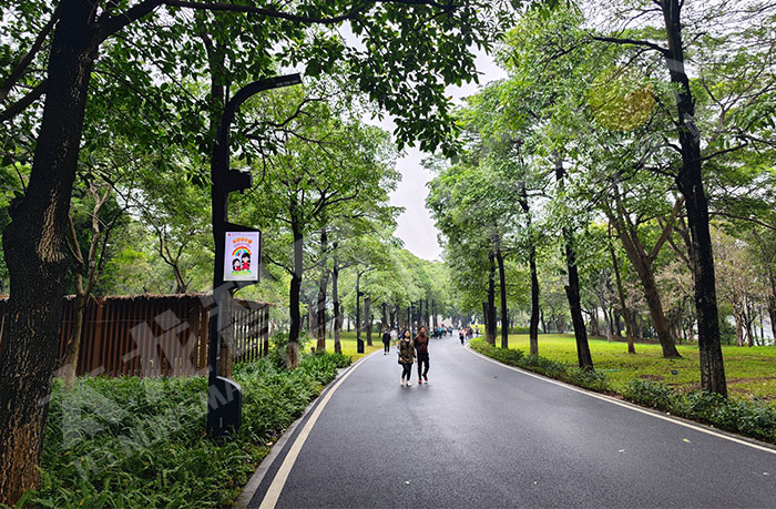 燈桿屏廠(chǎng)家,燈桿屏